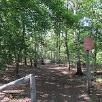 Veluwe - Green Finnish Lodge At De Ijsvogel - Swimming Pools, Sauna, Sports, Kids Fun, Restaurants, Forest, And Heath *