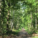 Veluwe - Green Finnish Lodge At De Ijsvogel - Swimming Pools, Sauna, Sports, Kids Fun, Restaurants, Forest, And Heath * 福尔特赫伊曾