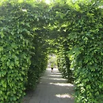 Veluwe - Green Finnish Lodge At De Ijsvogel - Swimming Pools, Sauna, Sports, Kids Fun, Restaurants, Forest, And Heath 别墅
