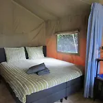 Veluwe - Green Finnish Lodge At De Ijsvogel - Swimming Pools, Sauna, Sports, Kids Fun, Restaurants, Forest, And Heath 别墅 *
