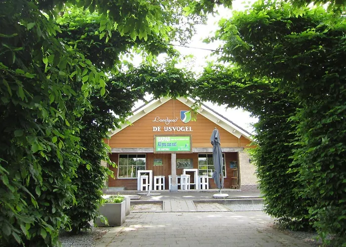 Veluwe - Green Finnish Lodge At De Ijsvogel - Swimming Pools, Sauna, Sports, Kids Fun, Restaurants, Forest, And Heath