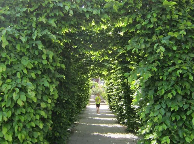 Veluwe - Green Finnish Lodge At De Ijsvogel - Swimming Pools, Sauna, Sports, Kids Fun, Restaurants, Forest, And Heath Villa