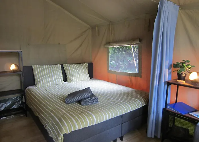 Veluwe - Green Finnish Lodge At De Ijsvogel - Swimming Pools, Sauna, Sports, Kids Fun, Restaurants, Forest, And Heath Villa *