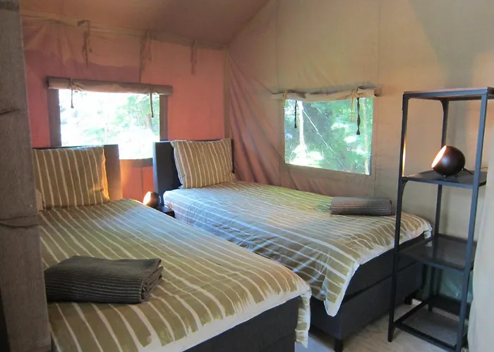 Villa Veluwe - Green Finnish Lodge At De Ijsvogel - Swimming Pools, Sauna, Sports, Kids Fun, Restaurants, Forest, And Heath Voorthuizen