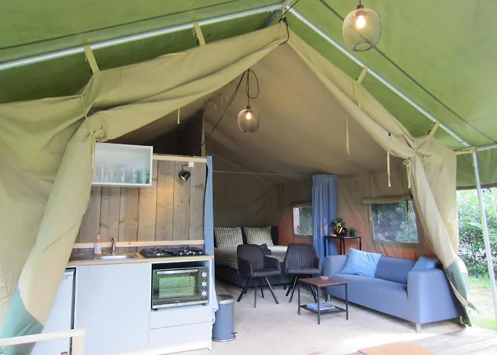 Veluwe - Green Finnish Lodge At De Ijsvogel - Swimming Pools, Sauna, Sports, Kids Fun, Restaurants, Forest, And Heath