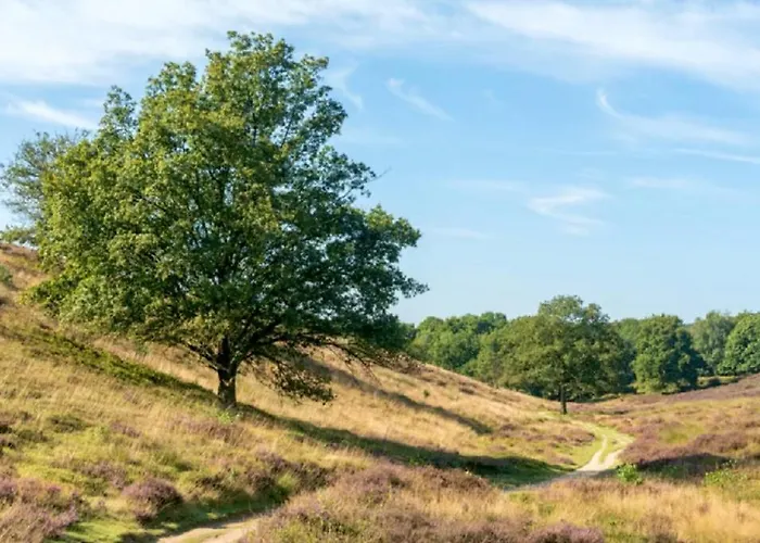 Veluwe - Green Finnish Lodge At De Ijsvogel - Swimming Pools, Sauna, Sports, Kids Fun, Restaurants, Forest, And Heath Villa