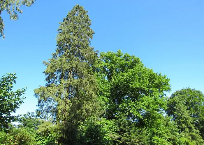 Veluwe - Green Finnish Lodge At De Ijsvogel - Swimming Pools, Sauna, Sports, Kids Fun, Restaurants, Forest, And Heath