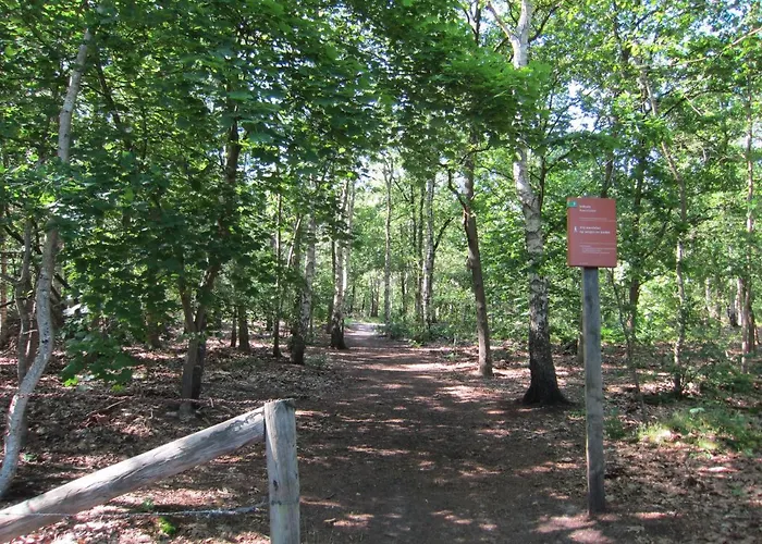 Veluwe - Green Finnish Lodge At De Ijsvogel - Swimming Pools, Sauna, Sports, Kids Fun, Restaurants, Forest, And Heath *