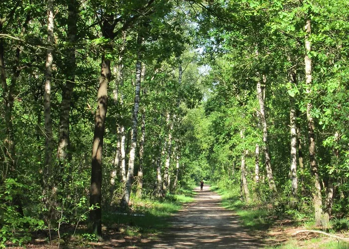 Veluwe - Green Finnish Lodge At De Ijsvogel - Swimming Pools, Sauna, Sports, Kids Fun, Restaurants, Forest, And Heath * Voorthuizen