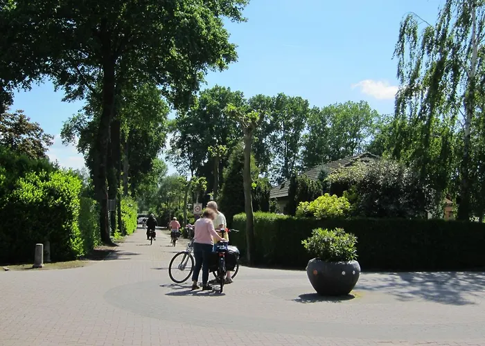 Veluwe - Green Finnish Lodge At De Ijsvogel - Swimming Pools, Sauna, Sports, Kids Fun, Restaurants, Forest, And Heath *
