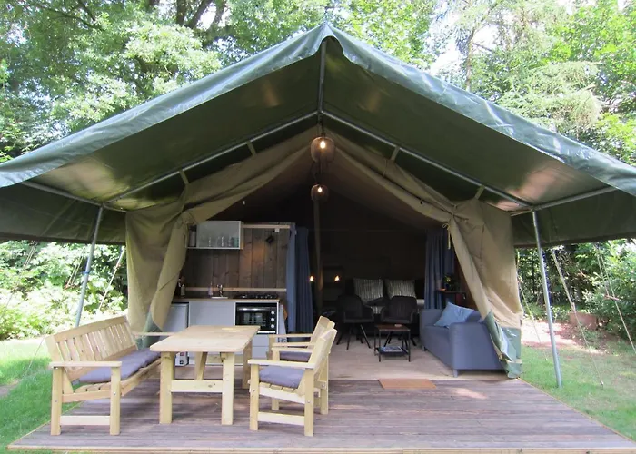 Veluwe - Green Finnish Lodge At De Ijsvogel - Swimming Pools, Sauna, Sports, Kids Fun, Restaurants, Forest, And Heath * Voorthuizen